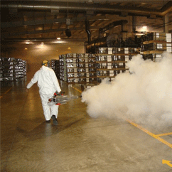 industria alimentaria
