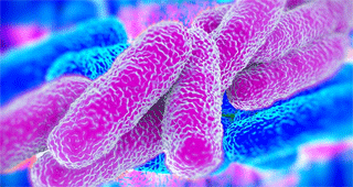 desinfeccion legionella