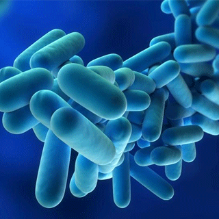 prevencion de la legionella