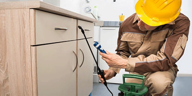 profesionales control de plagas