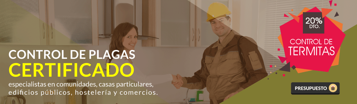 fumigadores y desinsectadores certificados