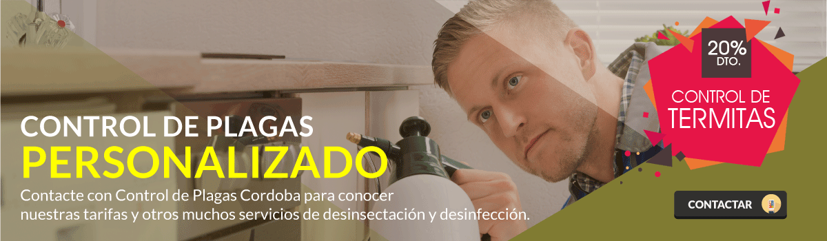control de plagas personalizado