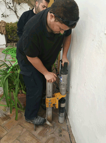 control de termitas