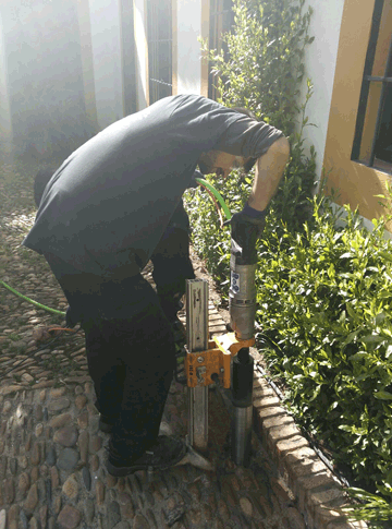 control de termitas